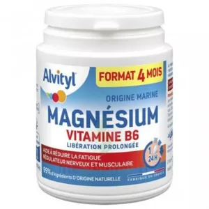 Alvityl Magnésium Vitamine B6 Libération Prolongée Comprimés Lp Pot/120